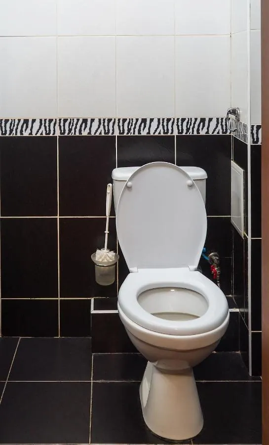 Двухуровневая На Лобановского Apartment Kyiv